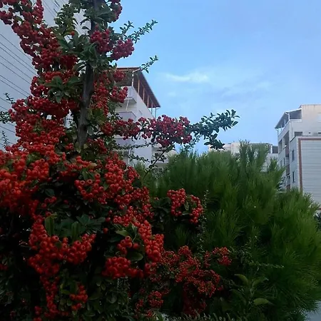 Garden *